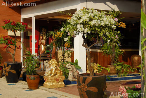 Expat Hotel 25